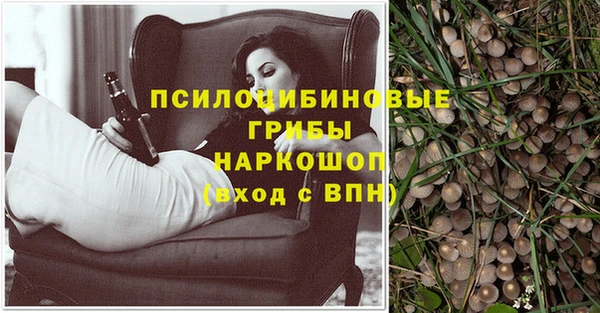 трава Балахна