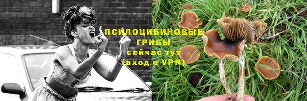 хмурый Баксан