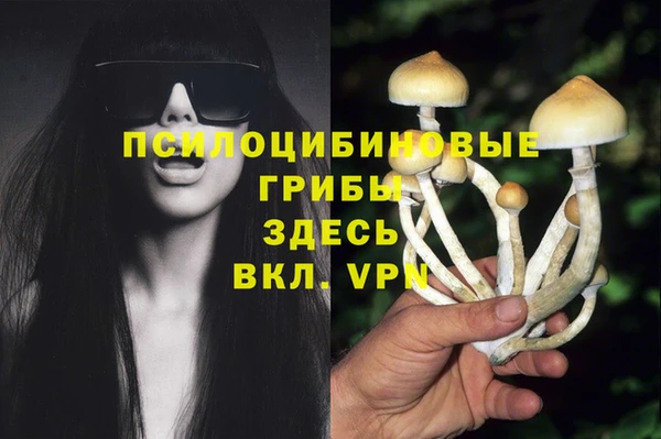 трава Балахна